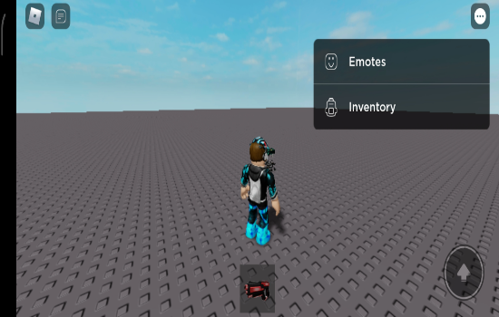 Avatar Customization & Access